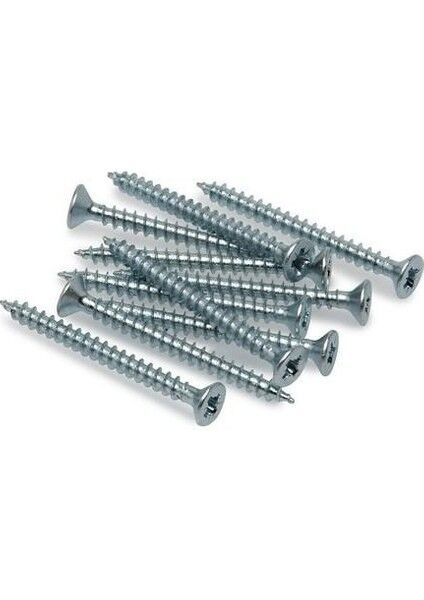 5x60 SUNTA VİDASI 20 AD.