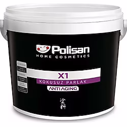 X1 AA KOKUSUZ PARLAK 2,5KG